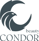 CONDOR thumbnail logo